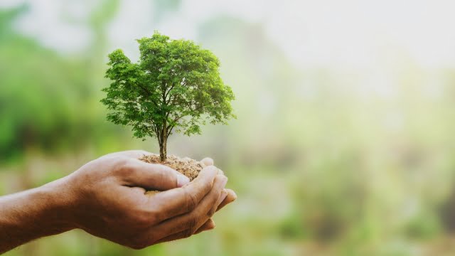 Adobestock 267603945