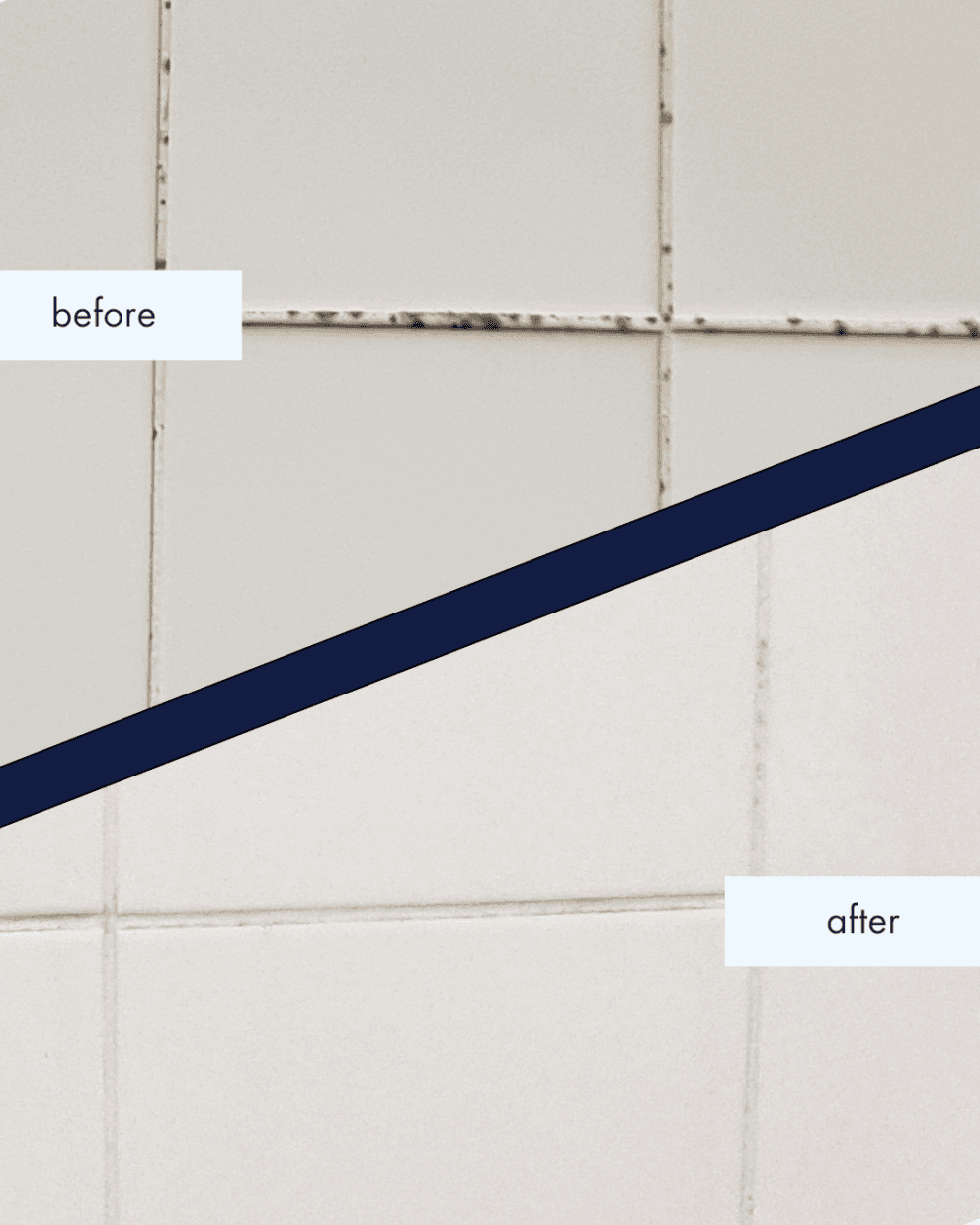Schimmel Verwijderen Before And After 3