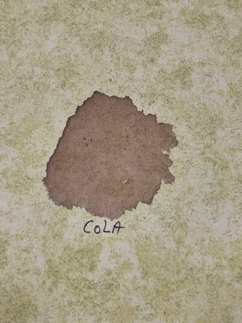 cola vlek in tapijt verwijderen met tce stoomreiniger